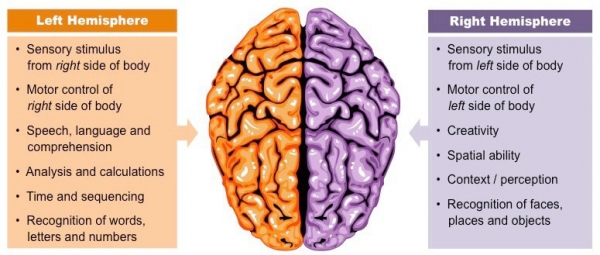 Η λειτουργία των εγκεφαλικών ημισφαιρίων και οι επιπτώσεις της στη μάθηση