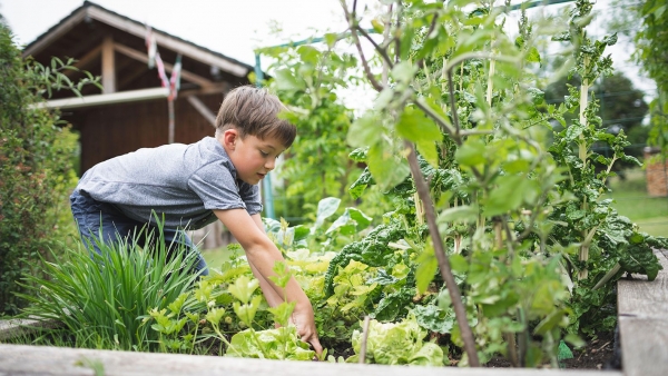 Teaching the Concept of Equity Through Gardening