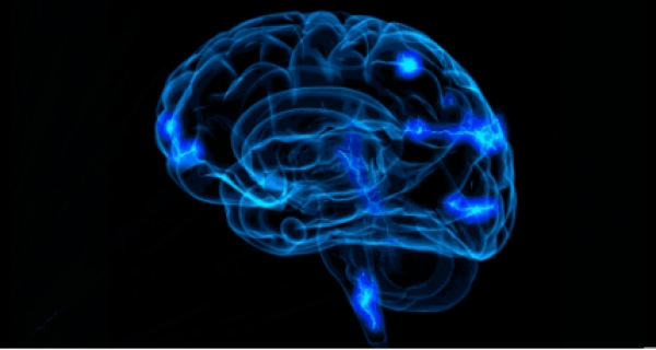 Αποκρυπτογραφώντας τη «γλώσσα» του εγκεφάλου