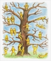 “Το Δέντρο των Blob” – υλικό για την καλλιέργεια της συναισθηματικής νοημοσύνης