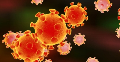 Innovative Ways to Make Coronavirus a Teachable Moment