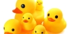 Boosting Student Engagement... With Rubber Ducks?